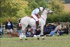UKPA NC SAT_2843